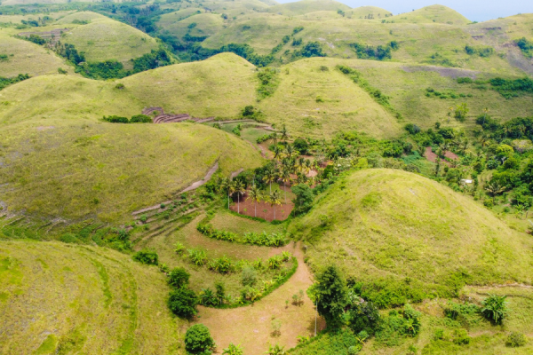 teletubbies hill